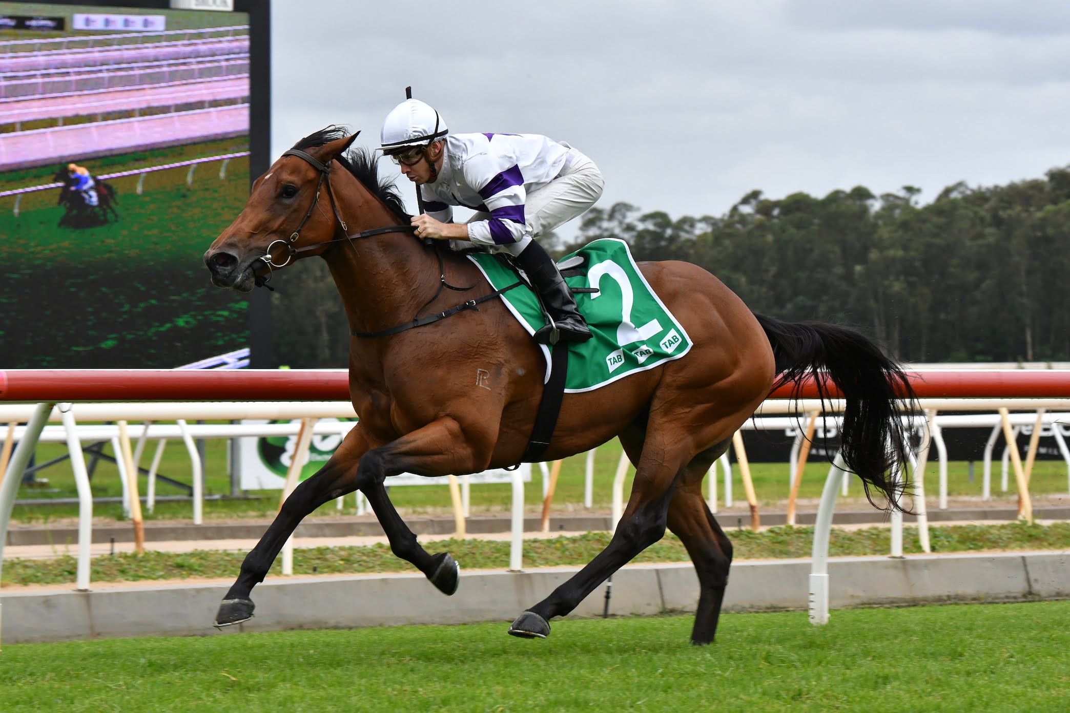 Young guns dominate & classy filly debuts 2