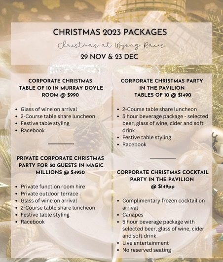 Corporate Christmas Packages 3
