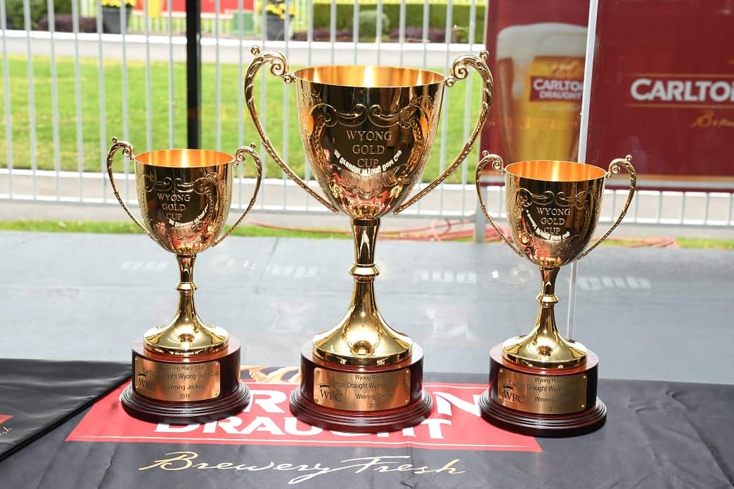 Capacity field for Friday’s $160,000 Carlton Draught Wyong Gold Cup 1