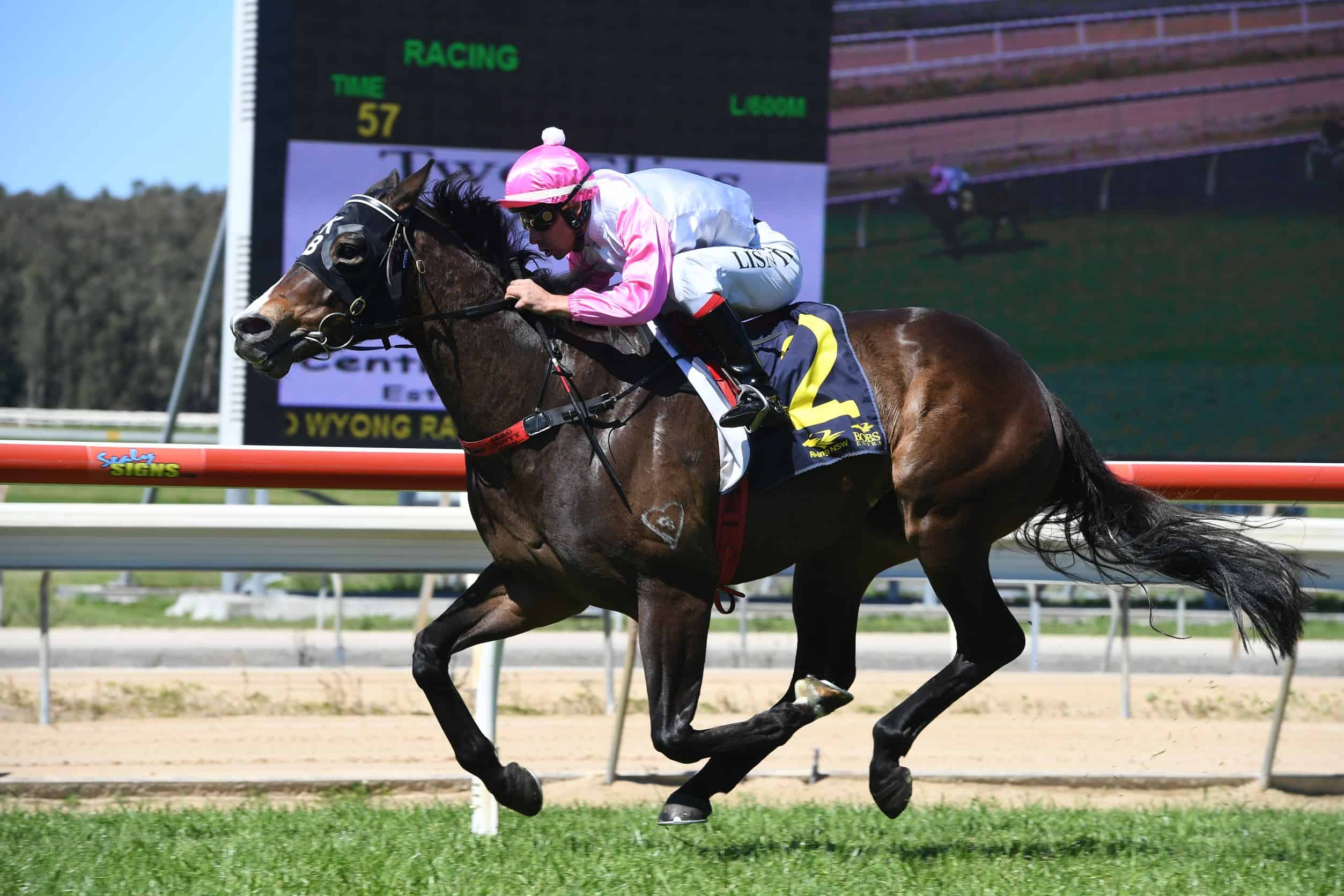 BRIGHT FUTURE PREDICTED FOR BUCHANAN WINNERS - Central Coast Men Of Football Raceday Review 2