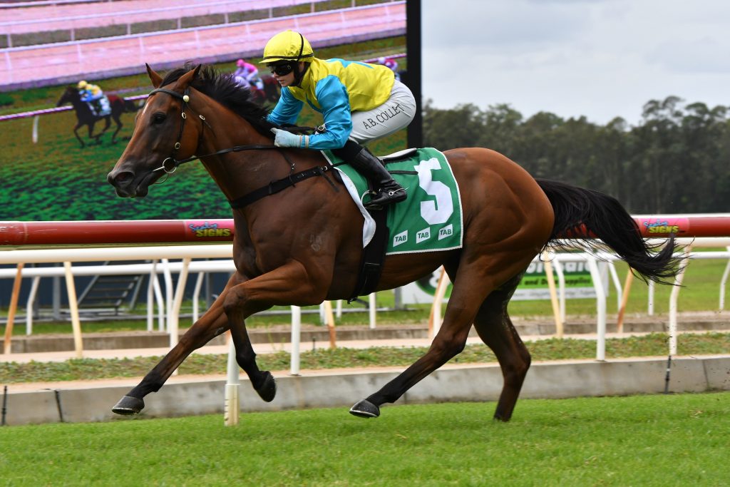 Young guns dominate & classy filly debuts 29