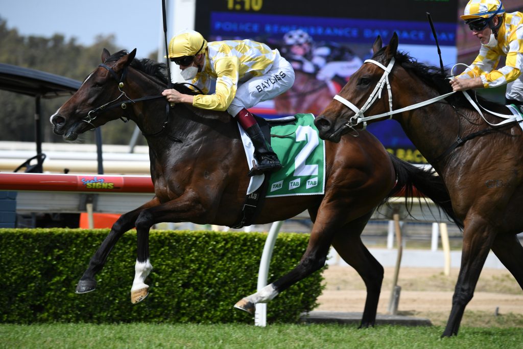 FOUR PILLARS CANDIDATES ON SHOW AT WYONG 3