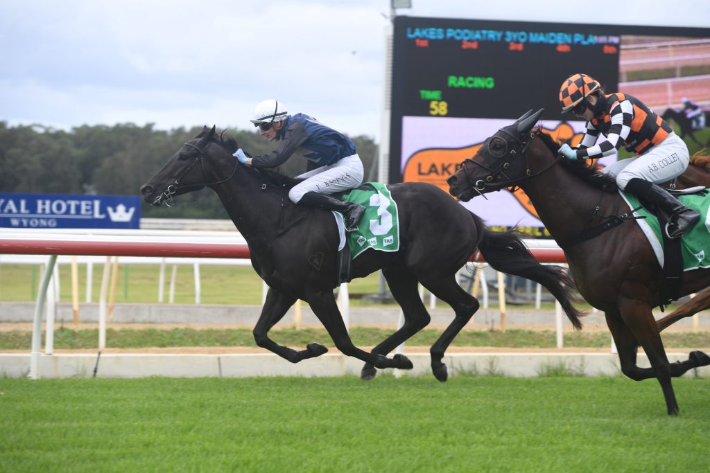 LEES TAKES OUT WYONG QUALIFIER 13
