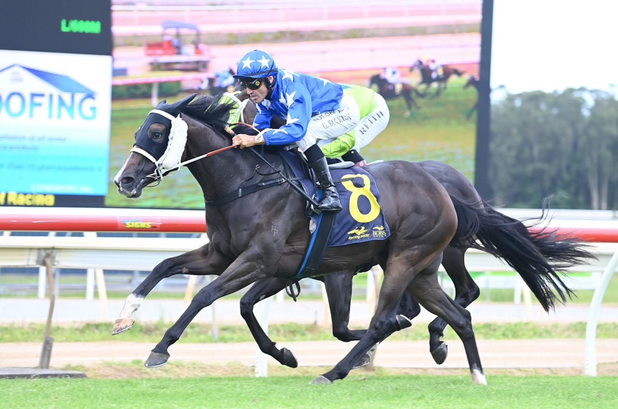 BUCKLEY CLAIMS RIDING HONOURS 1