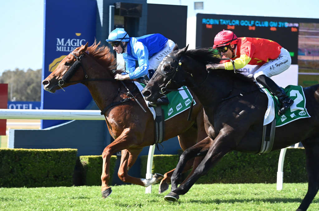 FAVOURITES RULE THE DAY AT WYONG 5