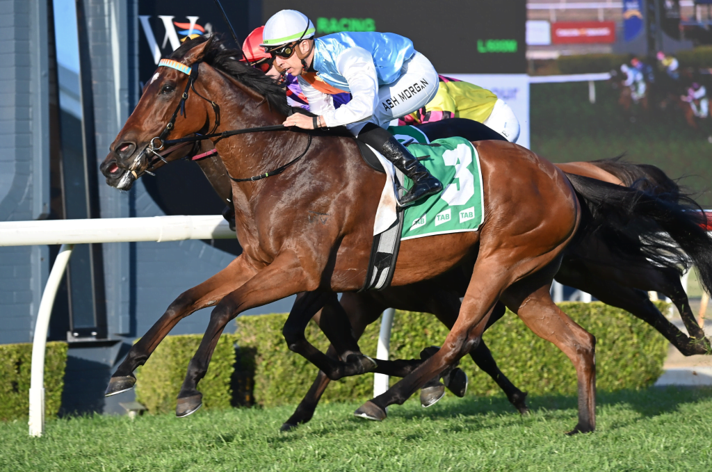 WYONG TRAINERS OFF TO A GREAT START FOR CUP CARNIVAL 5