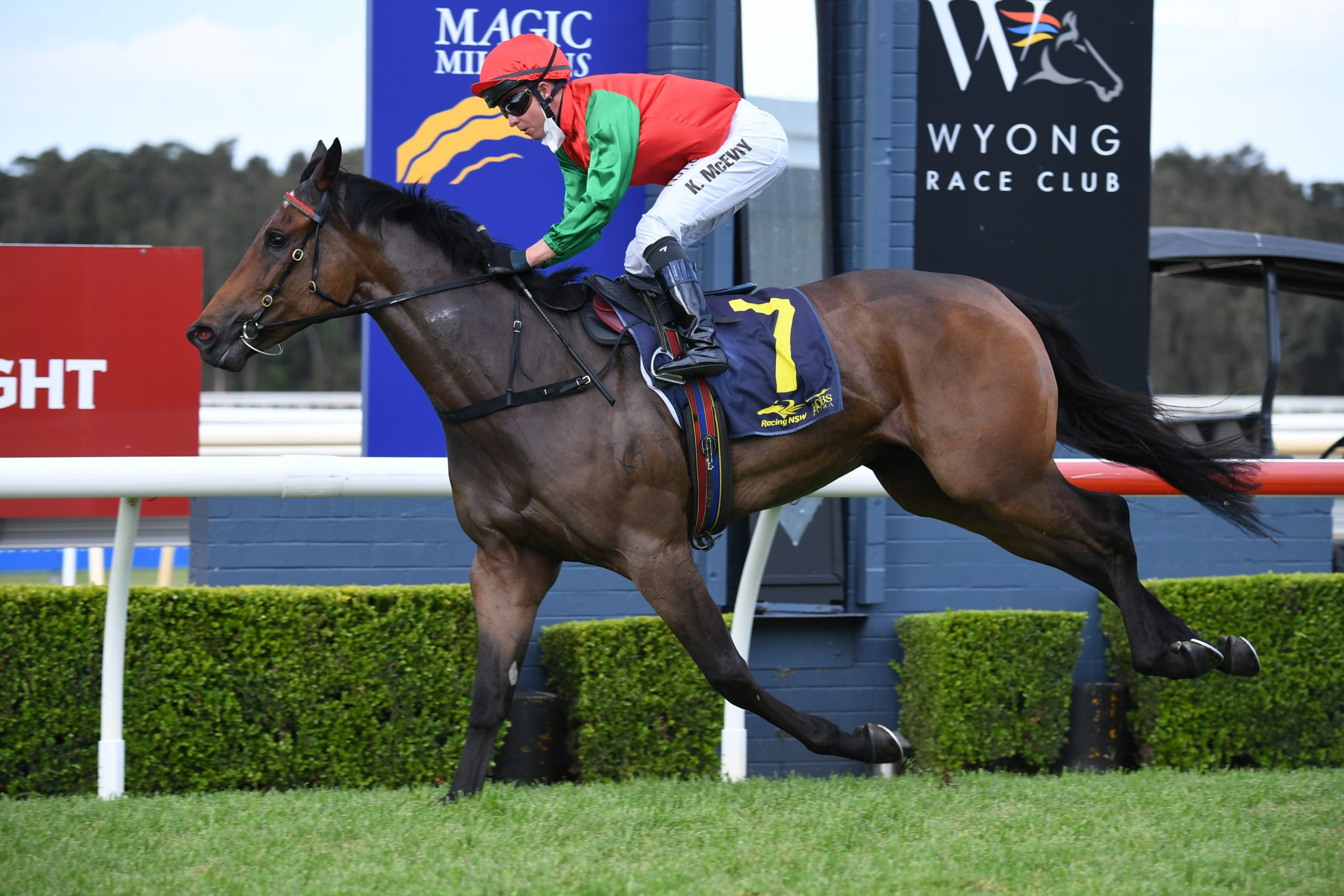 FOUR PILLARS CANDIDATES ON SHOW AT WYONG 2