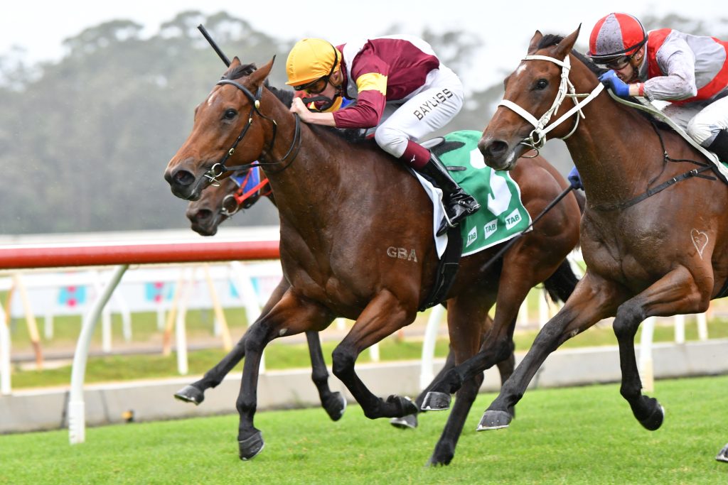 Young guns dominate & classy filly debuts 25
