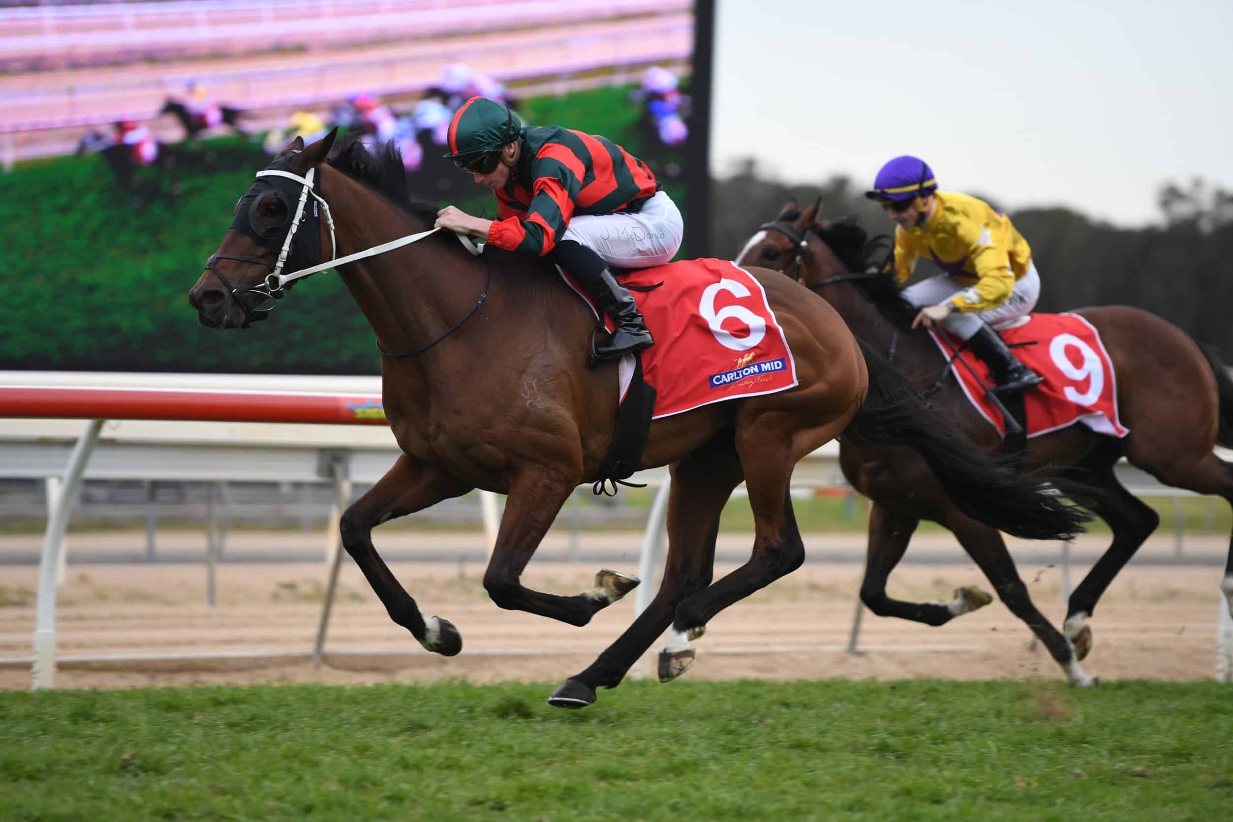 Wyong Gold Cup Review 1
