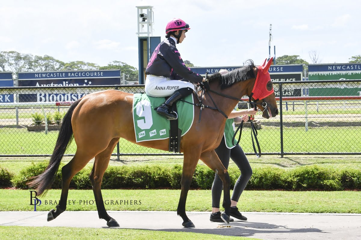 LANE OPTS FOR WYONG RACE 6