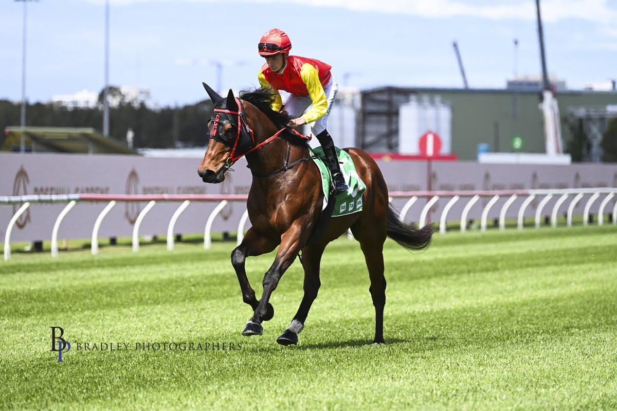 ShihAB's WYONG BREAKTHROUGH on hold 1