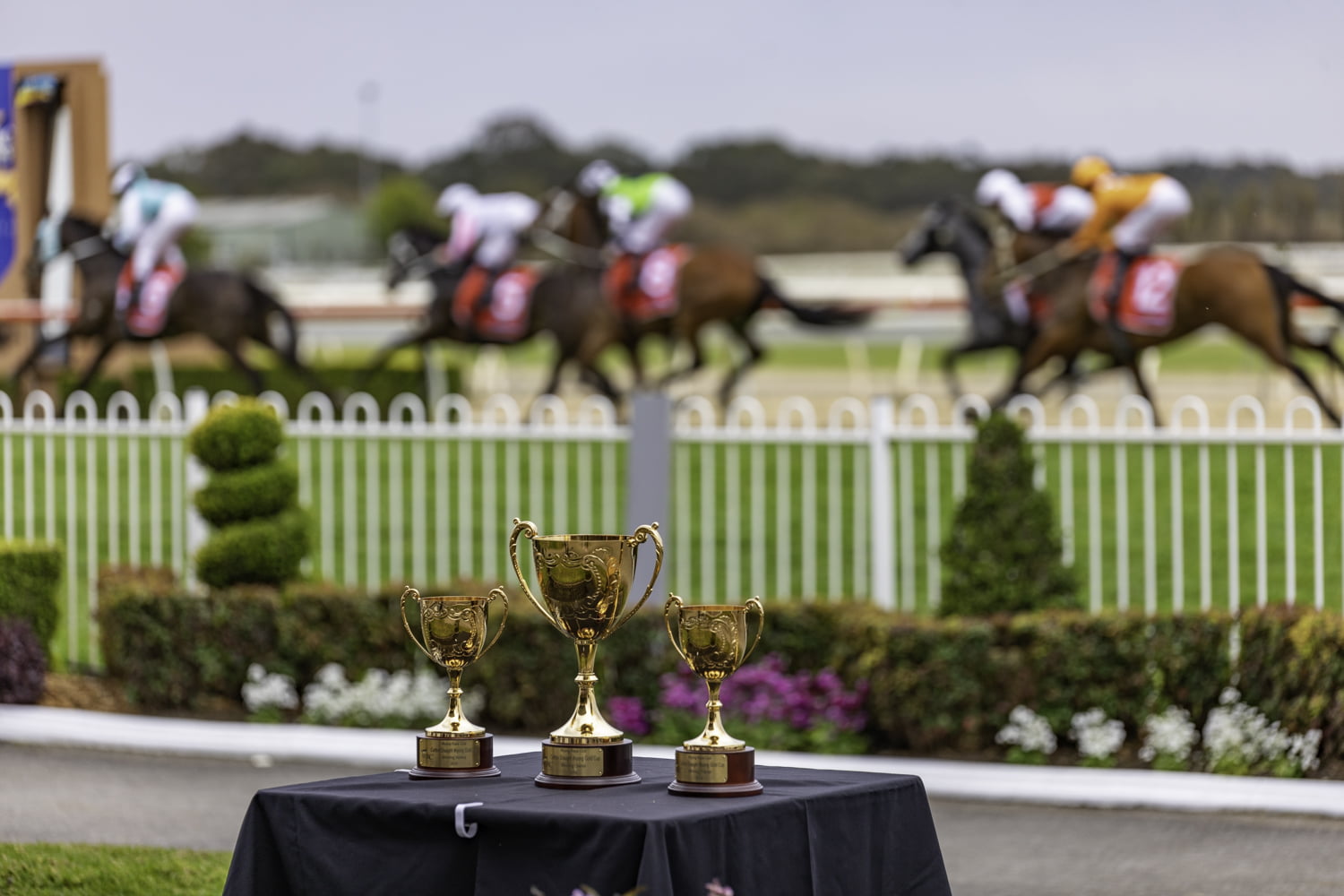 Carlton Draught Wyong Gold Cup Race Day
